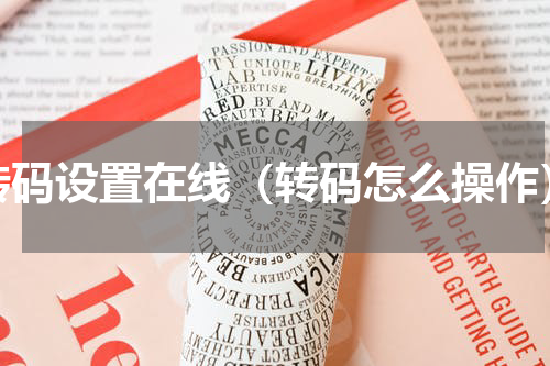 转码设置在线（转码怎么操作）