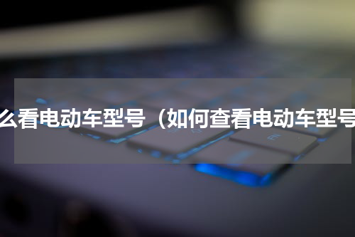 怎么看电动车型号（如何查看电动车型号）