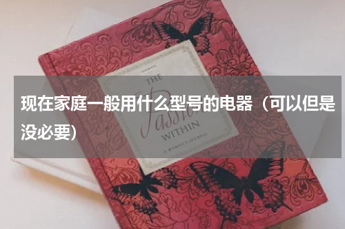 现在家庭一般用什么型号的电器（可以但是没必要）