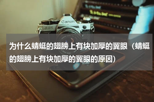 为什么蜻蜓的翅膀上有块加厚的翼眼（蜻蜓的翅膀上有块加厚的翼眼的原因）