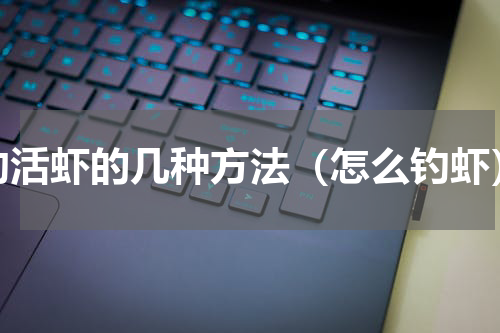 钓活虾的几种方法（怎么钓虾）