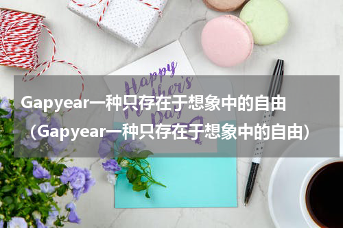 Gapyear一种只存在于想象中的自由（Gapyear一种只存在于想象中的自由）