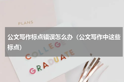 公文写作标点错误怎么办（公文写作中这些标点）