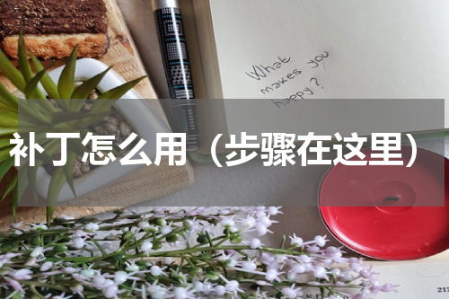 补丁怎么用（步骤在这里）