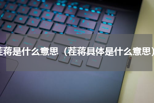茬蒋是什么意思（茬蒋具体是什么意思）