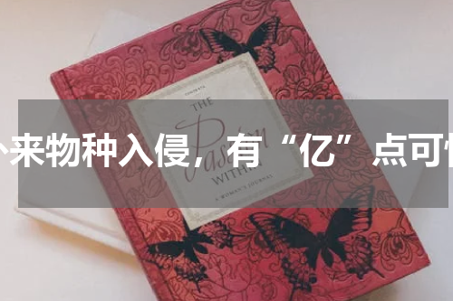 外来物种入侵，有“亿”点可怕