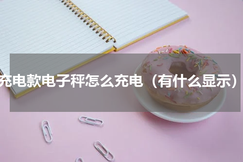充电款电子秤怎么充电（有什么显示）