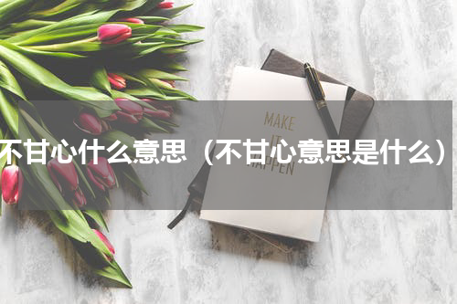 不甘心什么意思（不甘心意思是什么）