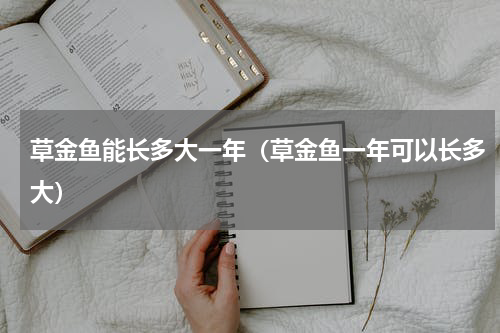 草金鱼能长多大一年（草金鱼一年可以长多大）