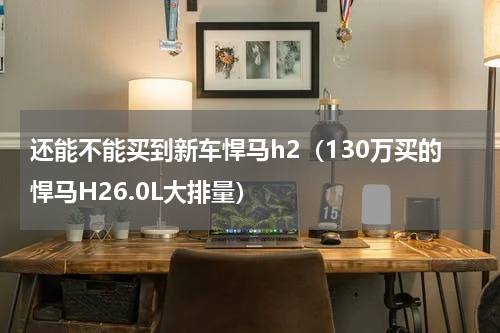 还能不能买到新车悍马h2（130万买的悍马H26.0L大排量）