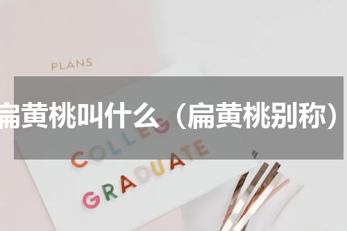 扁黄桃叫什么（扁黄桃别称）