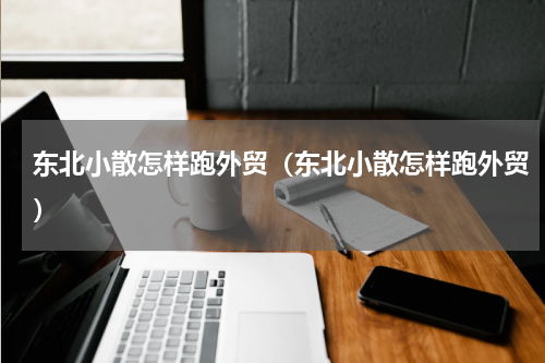 东北小散怎样跑外贸（东北小散怎样跑外贸）