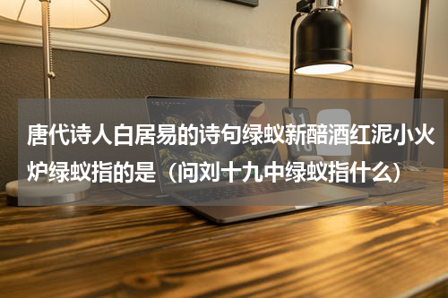 唐代诗人白居易的诗句绿蚁新醅酒红泥小火炉绿蚁指的是（问刘十九中绿蚁指什么）