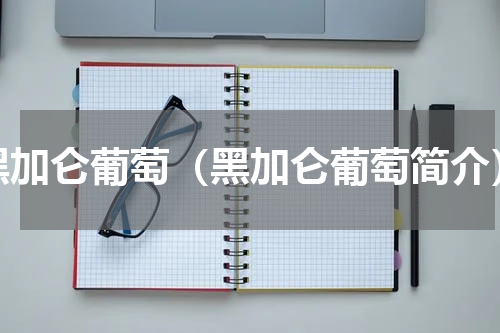 黑加仑葡萄（黑加仑葡萄简介）