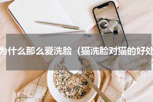 猫为什么那么爱洗脸（猫洗脸对猫的好处）