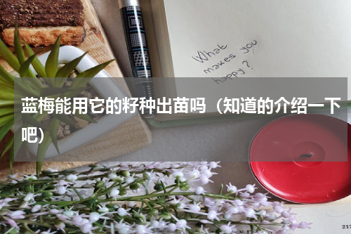 蓝梅能用它的籽种出苗吗（知道的介绍一下吧）