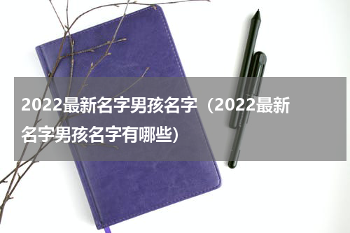2022最新名字男孩名字（2022最新名字男孩名字有哪些）