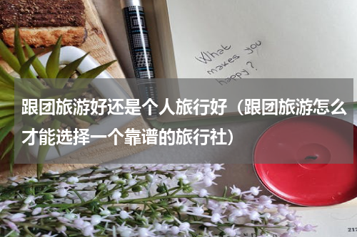 跟团旅游好还是个人旅行好（跟团旅游怎么才能选择一个靠谱的旅行社）