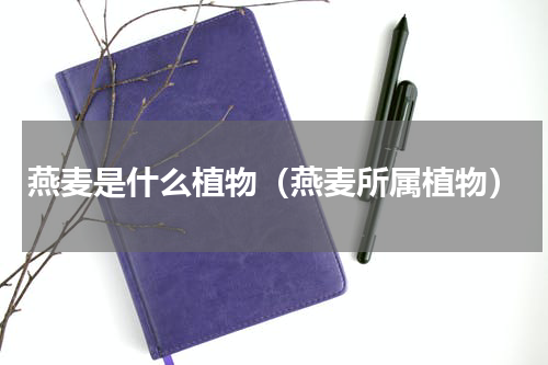 燕麦是什么植物（燕麦所属植物）