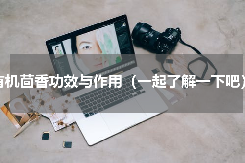 有机茴香功效与作用（一起了解一下吧）