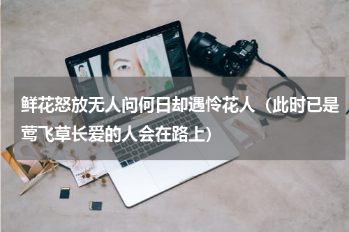 鲜花怒放无人问何日却遇怜花人（此时已是莺飞草长爱的人会在路上）