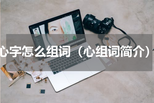心字怎么组词（心组词简介）