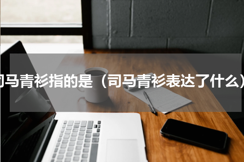司马青衫指的是（司马青衫表达了什么）