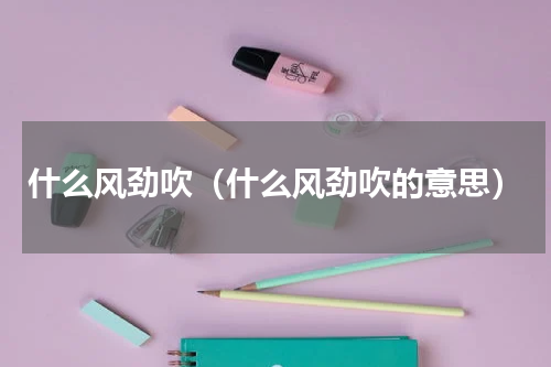 什么风劲吹（什么风劲吹的意思）