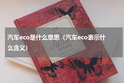 汽车eco是什么意思（汽车eco表示什么含义）