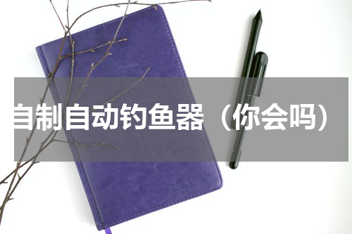 自制自动钓鱼器（你会吗）