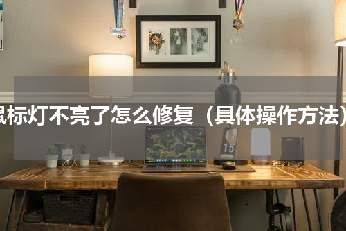 鼠标灯不亮了怎么修复（具体操作方法）