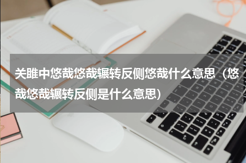 关雎中悠哉悠哉辗转反侧悠哉什么意思（悠哉悠哉辗转反侧是什么意思）