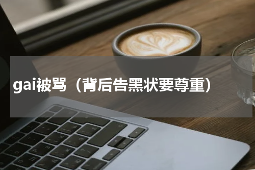 gai被骂（背后告黑状要尊重）