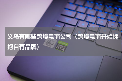 义乌有哪些跨境电商公司（跨境电商开始拥抱自有品牌）