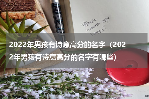 2022年男孩有诗意高分的名字（2022年男孩有诗意高分的名字有哪些）