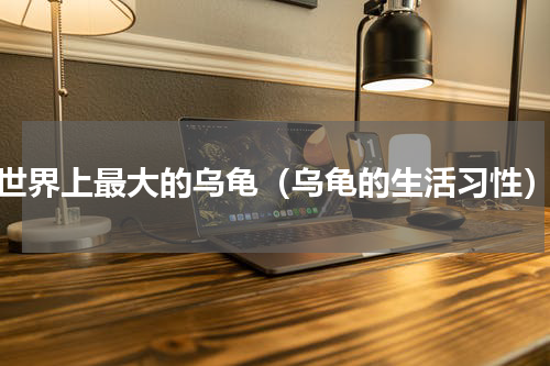 世界上最大的乌龟（乌龟的生活习性）