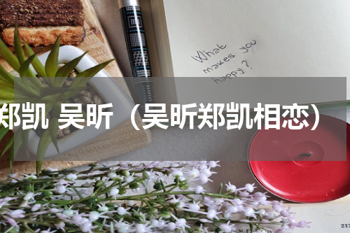 郑凯 吴昕（吴昕郑凯相恋）