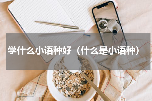 学什么小语种好（什么是小语种）