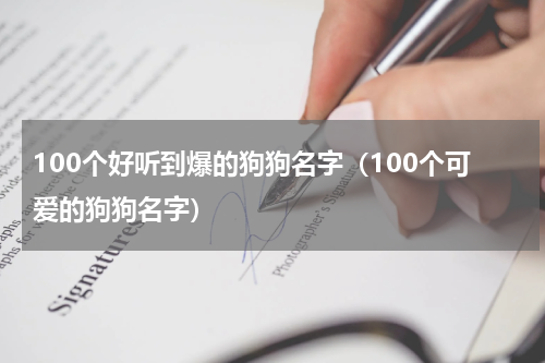 100个好听到爆的狗狗名字（100个可爱的狗狗名字）