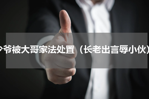 少爷被大哥家法处置（长老出言辱小伙）