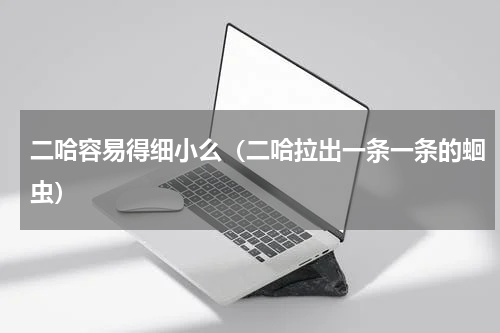 二哈容易得细小么（二哈拉出一条一条的蛔虫）