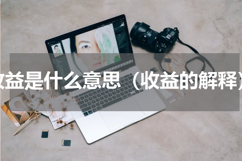 收益是什么意思（收益的解释）