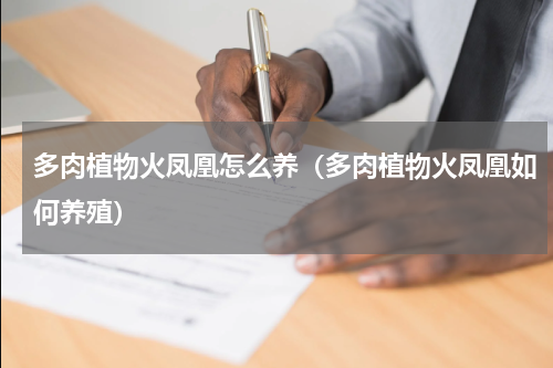多肉植物火凤凰怎么养（多肉植物火凤凰如何养殖）