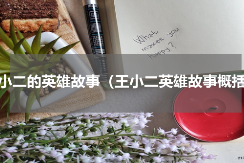 王小二的英雄故事（王小二英雄故事概括）