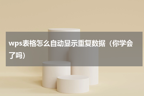 wps表格怎么自动显示重复数据（你学会了吗）