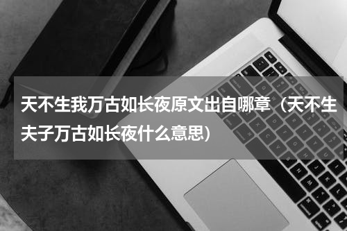天不生我万古如长夜原文出自哪章（天不生夫子万古如长夜什么意思）