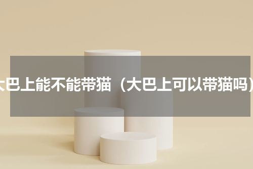 大巴上能不能带猫（大巴上可以带猫吗）