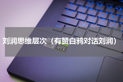 刘润思维层次（有赞白鸦对话刘润）