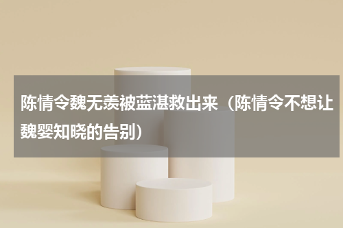 陈情令魏无羡被蓝湛救出来（陈情令不想让魏婴知晓的告别）
