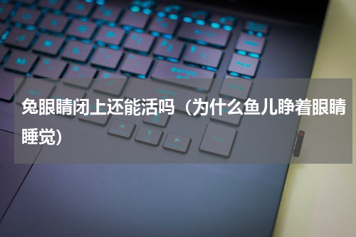 兔眼睛闭上还能活吗（为什么鱼儿睁着眼睛睡觉）